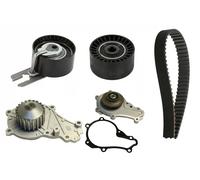 INA 530 0615 30 Kit cinghia distribuzione, pompa acqua