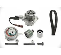 INA Pompa acqua + Kit cinghie dentate compatibile con AUDI SEAT SKODA VW