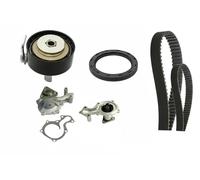 INA Kit 530 0961 30 – cinghia distribuzione e pompa acqua