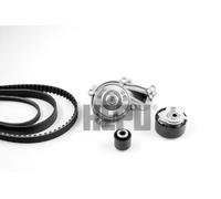 Kit distribuzione + pompa acqua Alternatore PK09080 HEPU per PEUGEOT DS CITROËN