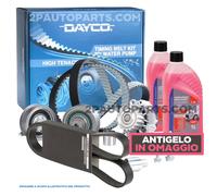 KIT DISTRIBUZIONE POMPA ACQUA CINGHIA PANDA 500 PUNTO YPSILON EVO 1.2 BENZINA
