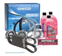 KIT DISTRIBUZIONE POMPA ACQUA CINGHIA SERVIZI PER VW GOLF V PLUS TOURAN 1.9 TDI