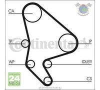 Kit distribuzione + pompa acqua ContinentalCtam per CITROEN BERLINGO EVASION JU