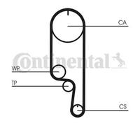 Pompa dell'acqua + kit cinghia di distribuzione CONTINENTAL CT1008WP2