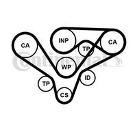 Kit distribuzione + pompa acqua CT1015WP2PRO CONTINENTAL CTAM per AUDI VW SKODA