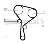 CONTITECH ct1035wp4 Kit Distribuzione + pompa acqua