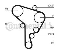 Kit distribuzione + pompa acqua CT1044WP3 CONTINENTAL CTAM per VW SKODA SEAT