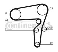 Kit distribuzione + pompa acqua CT1076WP1 CONTINENTAL CTAM per FIAT ALFA ROMEO