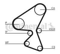 CONTITECH CT1104WP1 Kit cinghia distribuzione pompa acqua N° denti: 135 25,4 mm con guarnizione Compatibilità con CITROËN C3 I Hatchback FC, FN, SUZUKI LIANA 2 volumi/Coda spiovente