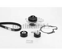 CONTITECH 6PK2490K1 Kit Cinghie Poly-V con rullo tenditore con guidacinghie