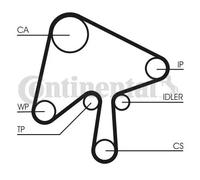 CONTITECH CT1136WP1 Kit cinghia distribuzione, pompa acqua