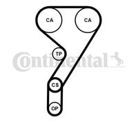 Pompa dell'acqua + kit cinghia di distribuzione CONTINENTAL CT1189WP2PRO