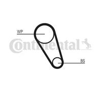 Pompa dell'acqua + kit cinghia di distribuzione CONTINENTAL CT1195WP1