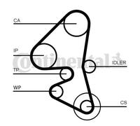 Kit distribuzione + pompa acqua CT1203WP1 CONTINENTAL CTAM per FORD CITROËN DS