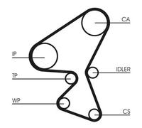 CONTITECH CT1230WP1 Kit cinghia distribuzione pompa acqua per OPEL Corsa F MOKKA