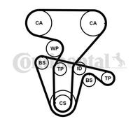 ContiTech Pompa dell'acqua + kit cinghia di distribuzione CT877WP4PRO