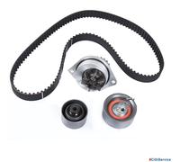 Kit Distribuzione + Pompa Acqua INA Peugoet 206 307 Citroen C3 Xsara 1.6 16V