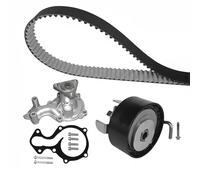 Dayco Kit distribuzione e pompa acqua KBIOWP030 per Ford Focus, Fiesta, B-Max