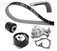 Dayco Kit distribuzione KBIOWP140 con pompa acqua e cinghie dentate per Peugeot, Citroën, DS