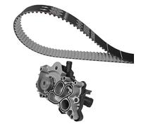 DAYCO KTBWP12090 Pompa acqua + Kit cinghie dentate per AUDI,SEAT,SKODA,VW
