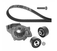 Dayco Kit cinghia distribuzione e pompa acqua KTBWP2930 per Fiat, Citroën, Lancia, Peugeot