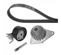 Dayco KTBWP3370 Kit P.Acqua Citroen C3 New BERLINGO