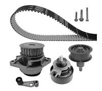 Dayco Kit cinghia distribuzione e pompa acqua KTBWP3380 per VW Polo 1.4 16V, Seat, Skoda, Audi