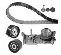 Dayco Pompa acqua + kit distribuzione KTBWP4601 per Dacia, Lada, Nissan, Renault