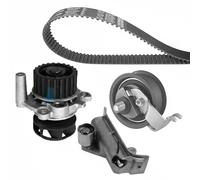 Dayco Kit cinghia distribuzione e pompa acqua KTBWP4870 per Audi, Skoda, Seat, VW