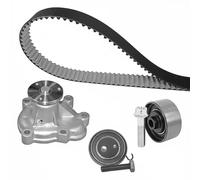 Pompa dell'acqua + kit cinghia di distribuzione DAYCO KTBWP5310