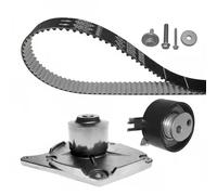 Dayco Kit cinghia di distribuzione e pompa acqua KTBWP5320 per Dacia, Nissan, Renault, Suzuki