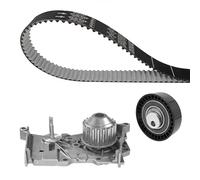 Dayco – Pompa dell'acqua + kit cinghia di distribuzione KTBWP7941 per Dacia, Renault, Lada