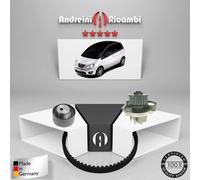 KIT DISTRIBUZIONE + POMPA ACQUA LANCIA MUSA 1.4 70KW 95CV 2008 ->