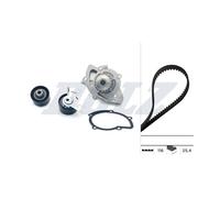 Kit Distribuzione + Pompa Acqua Per Ford C-Max Citroën C4 2.0 TdCi 4x4 2.0 HDi