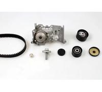 Kit distribuzione + pompa acqua PK08420 HEPU per RENAULT DACIA NISSAN LADA