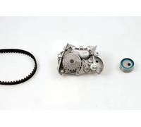 Kit distribuzione + pompa acqua PK09300 HEPU per RENAULT CLIO I 19 II 19 I