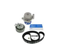 Pompa dell'acqua + kit cinghia di distribuzione SKF VKMC 01113-2