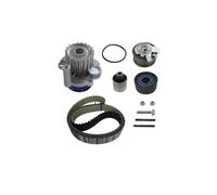 SKF VKMC 01255-1 Kit Tendicinghia con Pompa Acqua | Compatibile con: AUDI A3, A3 Sportback, A4 B7, A4 B7 Avant, A6 C6, A6 C6 Avant, DODGE AVENGER, CALIBER, JOURNEY, JEEP COMPASS