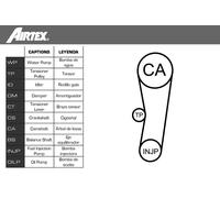 Kit distribuzione + pompa acqua WPK-161901 AIRTEX per FORD FOCUS I Tre volumi
