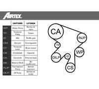 Airtex Kit cinghia distribuzione WPK-169901 con pompa acqua