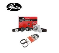 Kit Distribuzione + Pompa + Cinghia 137 Denti per PSA Ford 1.6 TDCi Compatibile