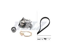 Kit Distribuzione + Pompa Dell'Acqua Per Renault Clio II Kangoo Logan Megane I