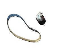 Kit Distribuzione Pompa Gasolio Land Rover Jaguar Citroen Peugeot 2.7cc V6 85x20