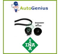 KIT DISTRIBUZIONE RENAULT TRAFIC II 2.5 dCi 135 01> INA 19810