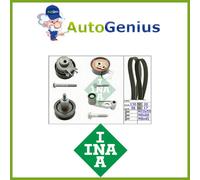KIT DISTRIBUZIONE VW GOLF IV (1J1) 1.6 16V 2000>2005 INA 8910