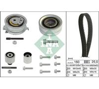 Kit Distribuzione INA Audi A1 2.0 TDI 1.6 A3 A4 A5 A6 Avant Q3 Q5 Van TT