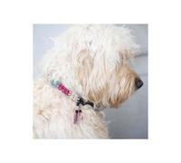 Kit DIY crochet - Creativ Company - Collare per cane - Riflettente - Taglia media - Livello intermedio