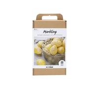 Kit DIY Marbling - Uova effetto marmorizzato