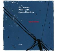 Kit Downes, Petter Eldh & James Maddren - Vermillion (LP)