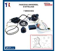 Kit Elettrico Fascio Aggancio Presa 7 Chiodi Universale